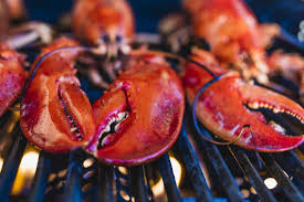 Lobster Nutrition Benefits And Diet