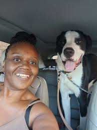 Piney , Walking Stick. My buddy from one year ago Gigantic !