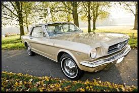 Image result for Champagne Beige 1965 Mustang
