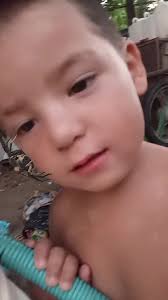 Videos de Alejandra Maciel (@macielmaria8) con “sonido original