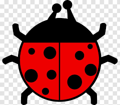 Beetle Ladybird Clip Art Cartoon Free Bug Clipart Transparent Png Bugs bunny illustration, bugs bunny looney tunes cartoon , bugs bunny transparent background png clipart. beetle ladybird clip art cartoon