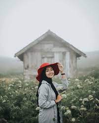 Wisata paralayang ini memang banyak menjadi tujuan wisata banyak orang. 5 Spot Di Malang Dengan Suasana Perkebunan Yang Sejuk Dan Insta Worthy