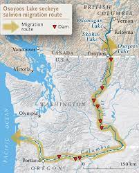 Rural district water system 9. The Return Of Sockeye Salmon Canadian Geographic