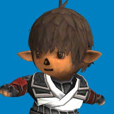 おうちでエオルゼア