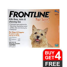 It kills fleas and ticks, plus repels mosquitoes that may transmit heartworm disease. Frontline Top Spot For Dogs Frontline Dogs Flea Tick Treatment Online Budgetpetcare Com