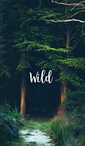 Pin By Thomaszariel On It S A Beautiful World Nature Quotes Nature Wallpaper Quotes