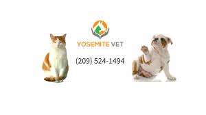 Maybe you would like to learn more about one of these? Yosemite Veterinary Hospital Home Facebook