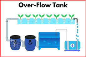 Aquaponic Mechanical Filters Explained Flourishing Plants