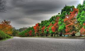 Various subjects and a selection of widescreen wallpapers. 62 Hd Nature Wallpapers 1920 1080