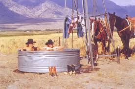 Image result for COWGIRLS AND COWBOYS