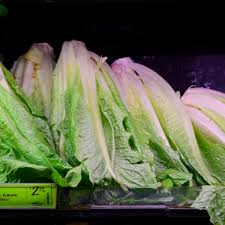 Image result for Lettuce Green 1977 Hussmann
