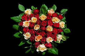 Maybe you would like to learn more about one of these? Emotions Roses Birthday Greeting Bouquet Happy Birthday Congratulations Bouquet Of Roses Love Greeting Card Pxfuel