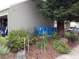 Diy Drip Irrigation System Irrigate From Rain Barrels By Gravity Feed