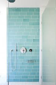 Kinda Nice Like The Blue Glass Subway Tile In A Glassed Shower White Subway Tile On Other Walls Modern Bathroom Tile Bathroom Shower Design Beach Shower