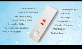 The most common use of lateral flow testing is in diagnostics for pregnancy, which tend to test for the human chorionic gonadotropin (hcg) hormone present in urine if a woman is pregnant. Lateral Flow Assay Lfa Rapid Tests Biotez Berlin
