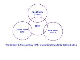 International Food Safety An Overview Of The Sanitary And