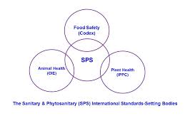 international food safety an overview of the sanitary and