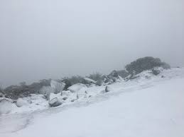 Mount William Mountain Information