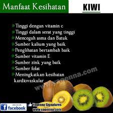Berikut ini khasiat buah kiwi yang perlu anda ketahui. Buah Kiwi Gold Dan Kiwi Hijau Iman Sha B Mertajam Facebook