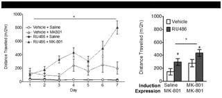 Portail des communes de france : Effect Of The Glucocorticoid Receptor Antagonist Ru486 On Mk 801 Induced Behavioural Sensitisation