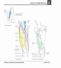 Download Netter 039 S Anatomy Coloring Book Elegant Netter S Anatomy Coloring Book With Student Consult Acces Anatomy Coloring Book Coloring Books Stress Coloring Book