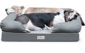 Looking for the best durable dog bed that can each bed is covered by the kuranda 1 year warranty. What Are The Best Beds For Medium Sized Dogs Bark
