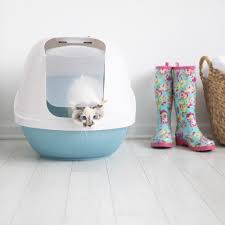 A variety of factors affect litter box behavior. How To Choose A Litter Box Foter