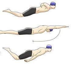 Macam Macam Gaya Renang Beserta Teknik Gambar Dan Penjelasannya