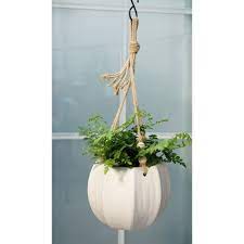 Better Homes Gardens Pottery 8 Mylia Ceramic Hanging Planter White Walmart Com In 2021 Hanging Planters Garden Pottery Small Flowering Plants