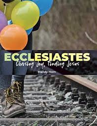 Ecclesiastes: Chasing Joy, Finding Jesus: Horn, Mandy, Ellis, LiaAnn:  9781691913947: Amazon.com: Books