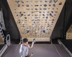 Maybe you would like to learn more about one of these? Review The Grasshopper Board Climbing Training Wall Climbing