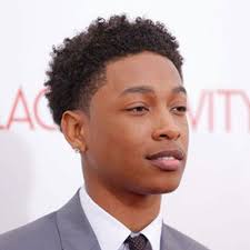 Pin On Afro Hairstyles