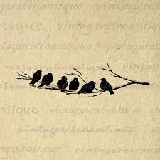 Birds On A Branch Tattoo Printable Image Birds On Tree Branch Graphic Bird Artwork Digital Download Antique Clip Art Vintage Dig Antique Bird Illustration Bird Artwork Vintage Artwork