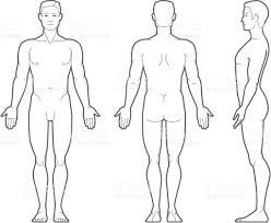 Pin On Anatomy