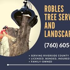 May 03, 2021 · paso robles is a famous wine growing region of california.located north of san luis obispo, the area is famous for its healing mineral hot springs. Robles Tree Service Landscaping Tree Service