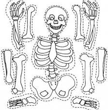 Printable Skeleton Craft Coloring Page Crafts And Worksheets For Preschool Toddler And Kindergarten Skeleton Craft Human Body Activities Skeleton For Kids
