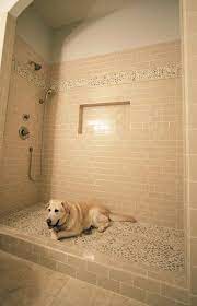 Buddy S Shower Dog Shower Dog Rooms Dog Wash