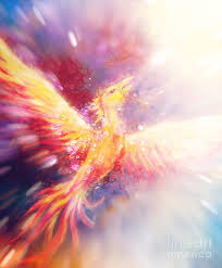 In addition, a phoenix bird is said to live for hundreds of years with some references for it living for 500. Flying Phoenix Bird As Symbol Of Rebirth And New Beginning Mixed Media By Jozef Klopacka