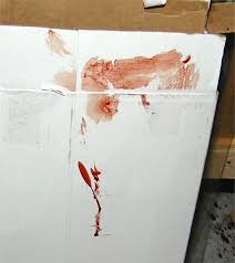 Affordable and search from millions of royalty free images, photos and vectors. Bloodstain Pattern Analysis An Overview Sciencedirect Topics