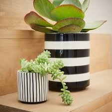 Black And White Outdoor Plant Pots Striped Cachepots Flower Pots Succulents Succulent Planter