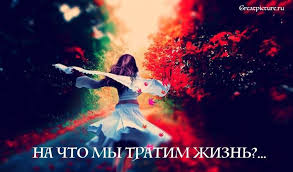 стихотворение как много тех с кем можно лечь в постель Na Chto My Tratim Zhizn Na Melochnye Ssory Ochen Proniknovennoe Stihotvorenie Stihotvorenie Citaty Osho Poeziya