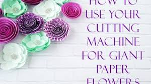 We did not find results for: How To Upload Giant Paper Flower Svgs To Cricut Design Space Youtube