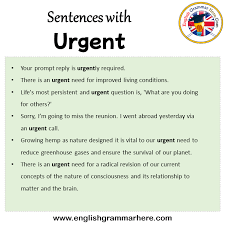 نتیجه جستجوی لغت [urgent] در گوگل