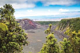 Explore A Hawaiian Forest And Volcanic Caldera On The Kilauea Iki Trail Hawaii Magazine Volcano National Park National Parks Hawaii Volcanoes National Park