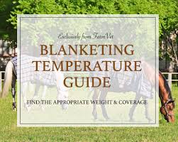 Weather Or Not A No Nonsense Guide To Blanketing