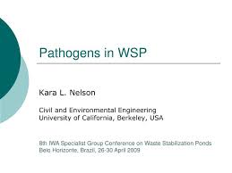 Ppt Pathogens In Wsp Powerpoint Presentation Id 804242