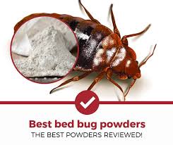 Unfortunately, these companies are not all created equally. Top 4 Best Bed Bug Powders 2021 Review Pest Strategies