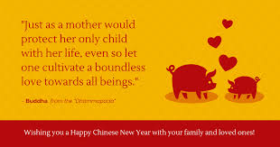 This is the chinese new year and it's a nice time for family reunions here we have some happy chinese new year wishes, messages, greetings, and quotes to wish hope you have a wonderful chinese new year with your family and friends. Buddha Quote Chinese New Year Facebook Post Template