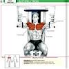 Muscles found in the deep group include the spinotransversales, erector spinae (composed of the as the name of the muscle implies, the primary function of the levator scapulae is to raise the scapula. 1