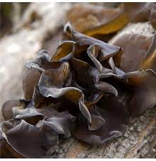 There are 2952 black fungus for sale on etsy, and they cost 23,75 $ on average. Egrow 50pcs Pack Agaric Seeds Healthy Edible Vegetable Mushroom Black Fungus Plants Seeds